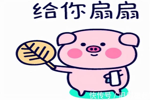 |幽默笑话:和老婆结婚这么多年我才知道,她还有一个双胞胎妹妹