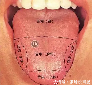 胃阴|珍贵舌诊脾胃虚寒、胃阴不足、气滞血瘀的舌苔,看完记得存!