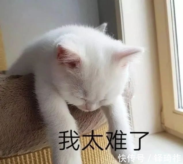 knock|yyds, nbcs, xswl 都是什么意思?00后“网络黑话”你认识几个?