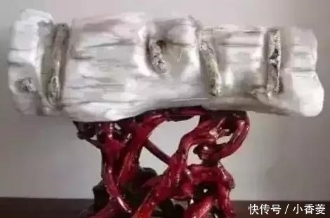 虫子|2亿年前的五条虫子 与大树一起变成了玉石!