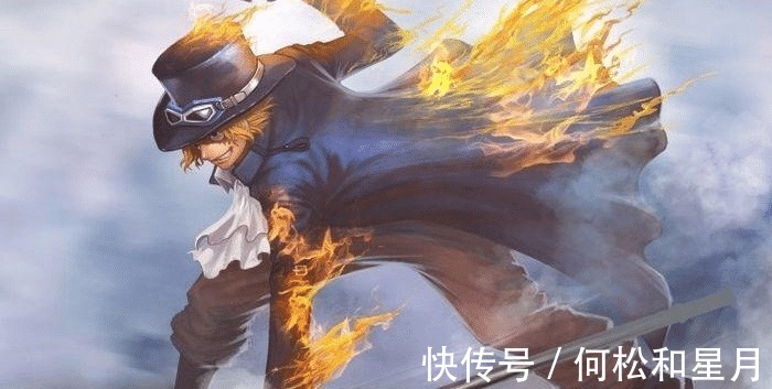 废除|海贼王七武海被废除,克比去抓女帝,尾田用心良苦