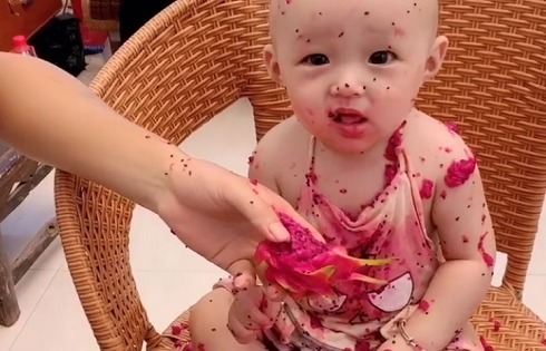 奶爸|“佛系奶爸”带娃吃火龙果走红,娃内心毫无波澜 是爸爸弄得!