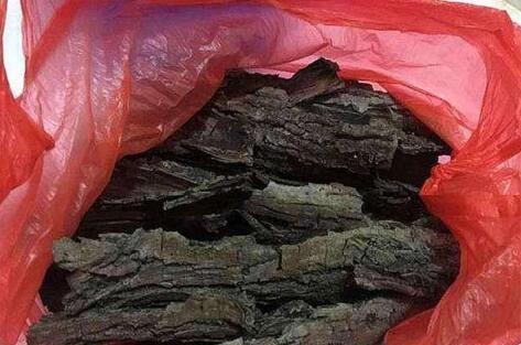 随手捡点它扔盆里,绿萝、虎皮兰、君子兰呼呼长爆盆,好用不花钱