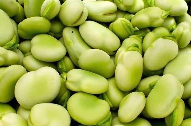 女性|女性可以多吃3种食物,补充营养、延缓衰老,身体棒棒哒!