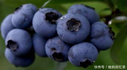 想長壽全靠吃，3種食物不可少，補充營養(yǎng)，提高免疫力