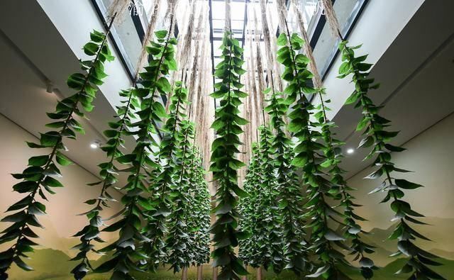 齐全|中国唯一的夏布博物馆,这里有最齐全的夏布资料和文物展示