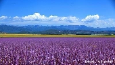 这十个中国最美的地方, 去过三个, 你都可以跟朋友吹很久呢!