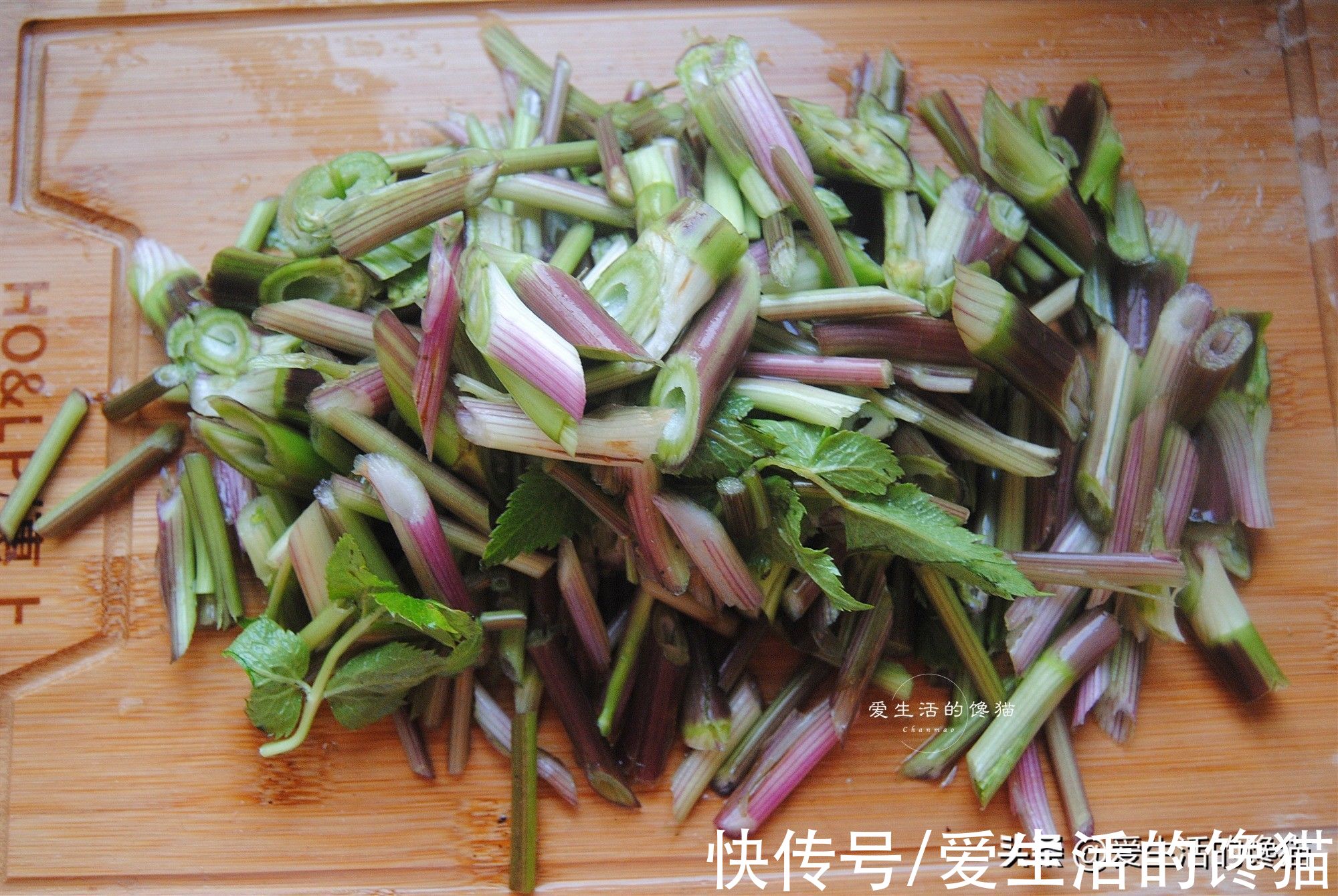 野菜|春天，抓紧吃这菜，鲜嫩爽口，营养极高，这样炒一炒真香