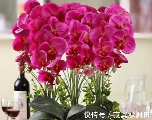 养花的时候应该怎样使用磷酸二氢钾?