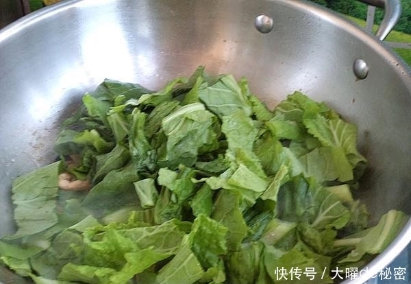 女人|这菜女人抓紧吃,养血驻颜,肌肤红润,味道鲜美,常吃气色好!