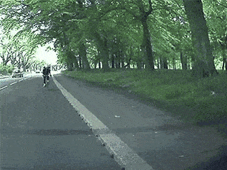 |搞笑GIF:哈哈太蠢了,被自己的尾巴吓了一跳