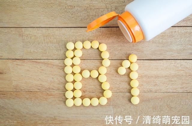 维生素b12|维生素B1、B2、B6、B12有哪些作用？这几种维生素能一起服用吗？