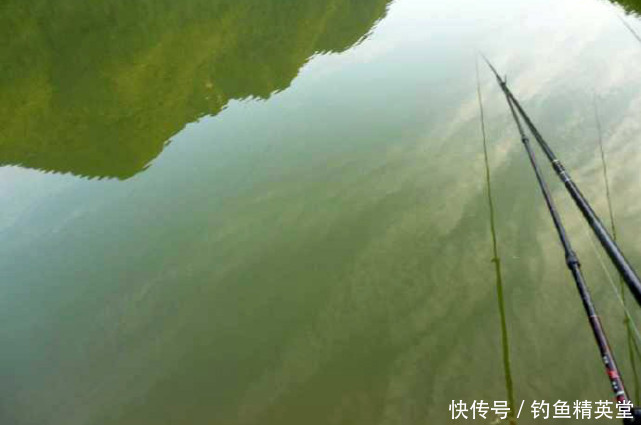 自制|花了大把的银子,钓上来的鱼还是寥寥无几,说说如何自制鱼饵?