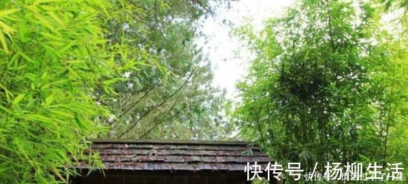 惠州一绝|苏轼很经典的一首诗,尤其是开篇的两组叠字句,读来令人拍案叫绝