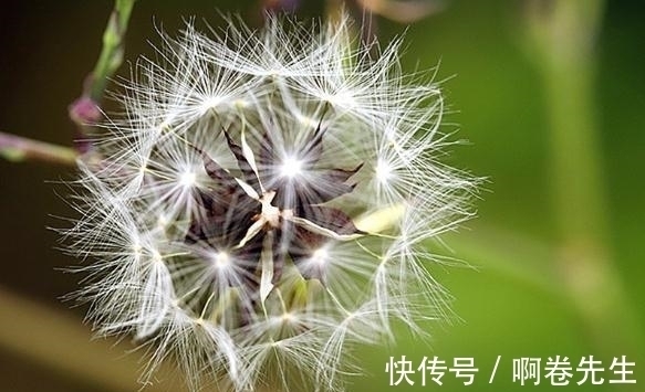 处女|12星座分手后多久会联系前任？快速说服12星座的最有效方法！