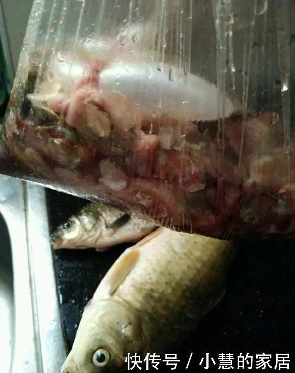 冬天埋点肥,明年花儿多3倍,轻松爆盆!