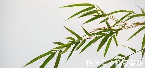 稳定血压|原来它才是高血压的“祸根”,并非食盐,很多人爱吃,难怪血压高