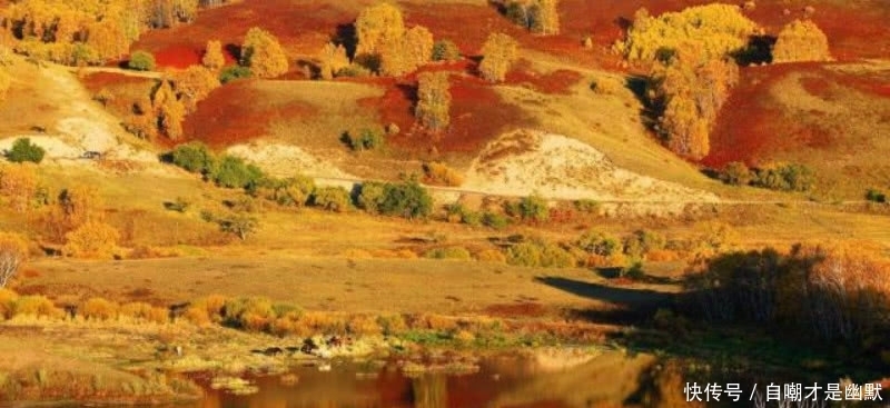 唐诗里很孤独的一首诗,虽然身处在人群,但是骨子里依旧还是孤独