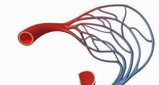 心血管疾病|被称血栓的“对死头”，日常多吃点，排尽血管垃圾，血栓悄悄溜走