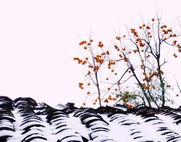 四川|今日立冬，四川这些地方下雪了 ！