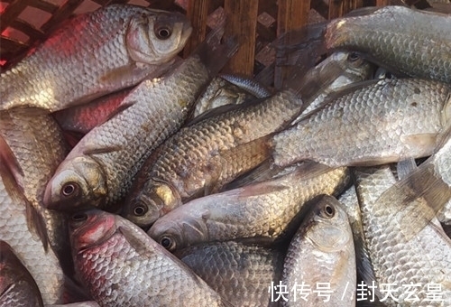 冬季是不是鱼竿越长钓得越多?记住这三点,学会冬季选择鱼竿长度