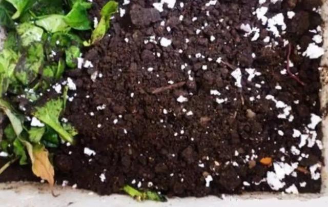 此物在农村满大街都是，却没人要，带点回家，养花的神器