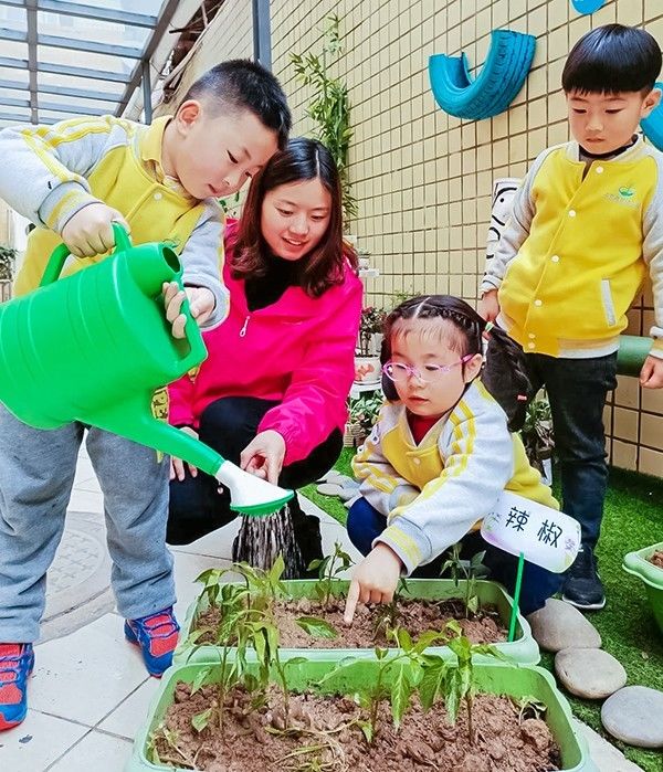 回归自然 种植希望