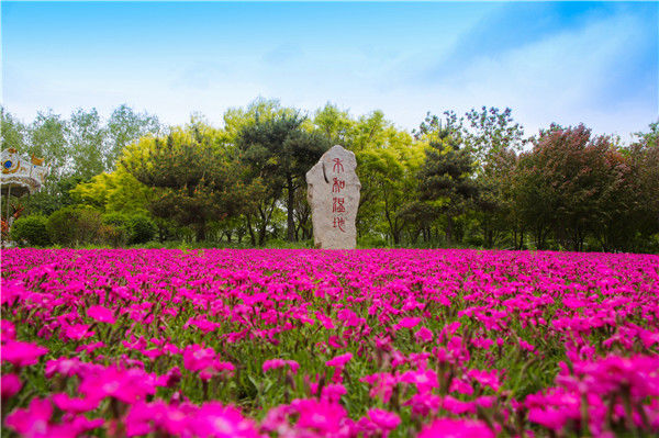 山乡梯田景如画 禾和湿地春意浓