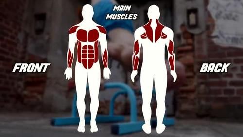 双腿|四个动作，从头练到脚！