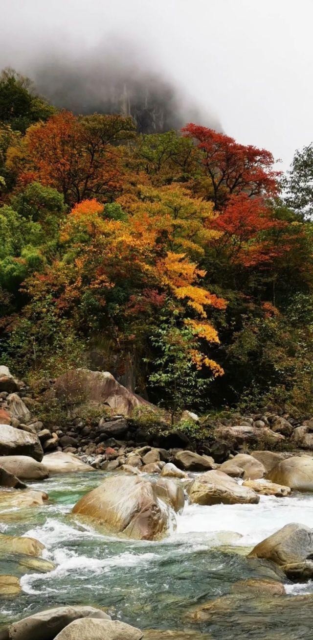 朋友|太撩人了！凉山人的朋友圈里，藏着最美清秋！