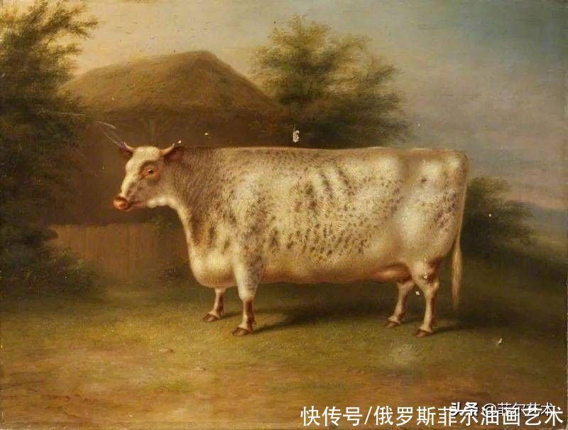 母牛|牛年大吉，西方人油画里牛为啥是长方形？