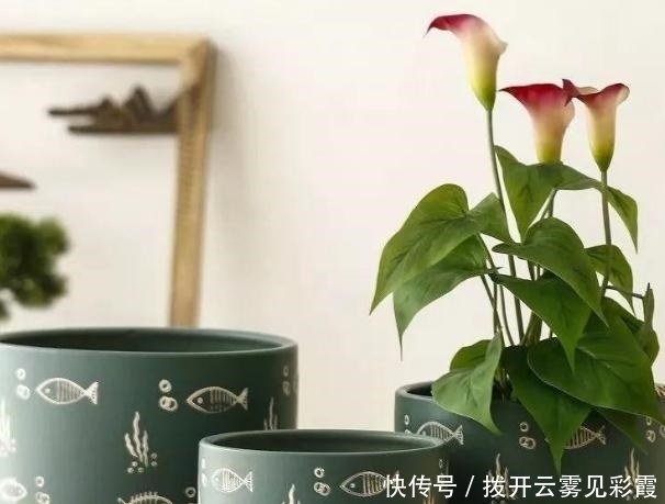 房子大就是豪横!在家里给孩子装个迷宫树屋,这童年也太幸福了吧!