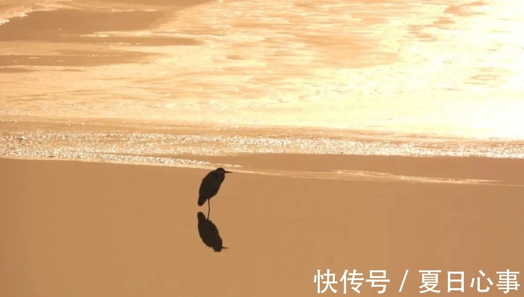 新东方$柳宗元最孤独的一首诗,人至中年,我终于看懂了!