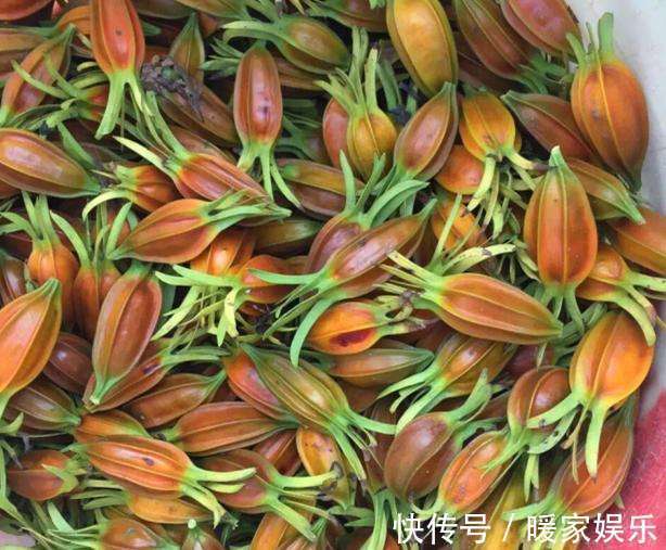 此物|女性常吃此物，不贫血，没白发，不近视，抗衰老，清洁血液