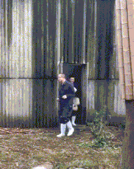 搞笑|搞笑GIF:我觉得这个网民说的很合理,这绝对是上帝的评论!