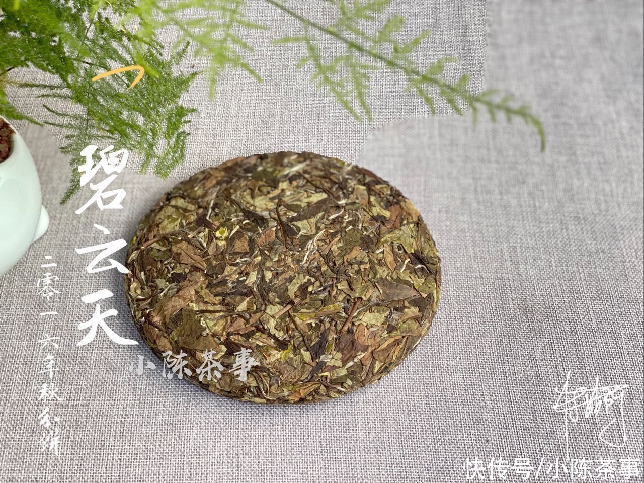 散茶|散茶和白茶饼哪个更值得收藏？听说压饼后不利于转化，是真的吗？