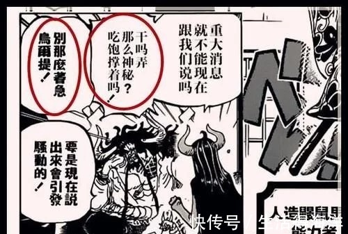 连路飞|海贼王979话情报,乌尔提三怼凯多,凯多居然没有生气,你怎么看