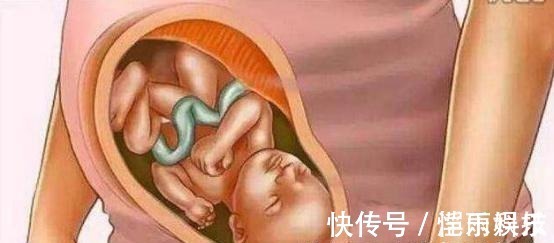 怀胎|宝宝是怎么被慢慢孕育出来的,十张过程图,一切来之不易