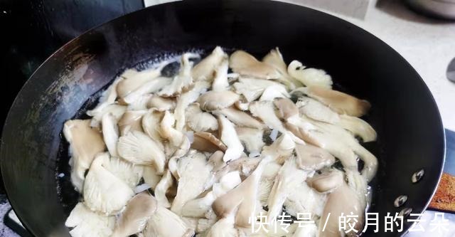蘑菇|秋季吃鸡鸭猪肉不如吃它，蛋白质是猪肉4倍，补脑益智提高记忆力！