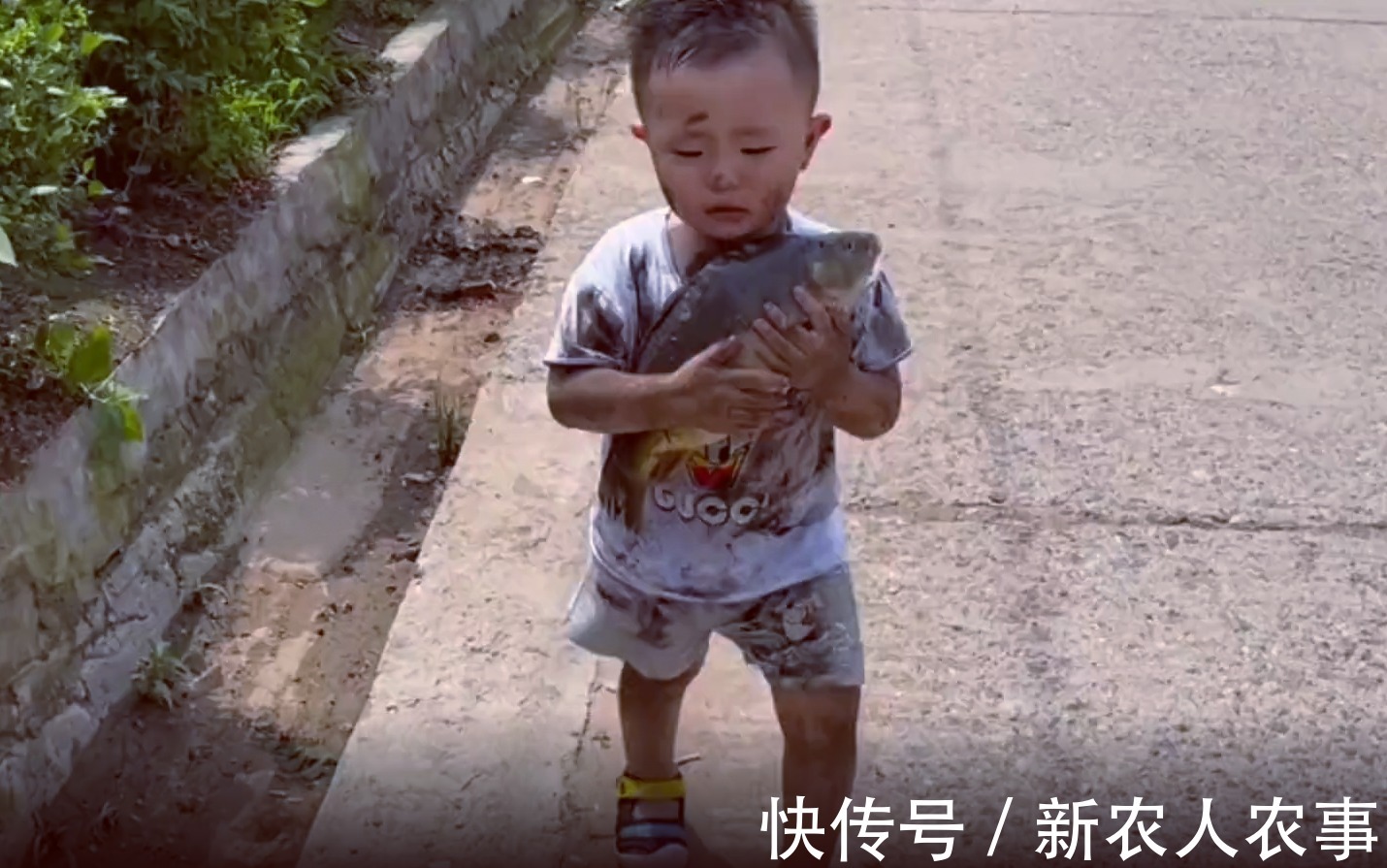 萌娃|萌娃不想鱼被卖掉,抱起来就往家跑,一系列神操太有爱了