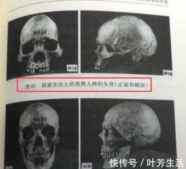 黑人|殷墟挖出大量黑人头骨,学者研究后感慨:妇好拯救了中华民族