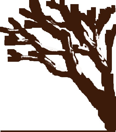  遗产公约|【非遗时间】非物质文化遗产保护的“中国经验”