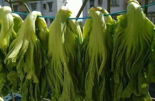 二月初二|农村有一种菜能长到一米五高,下霜之后更好吃,你们那里叫啥呢?