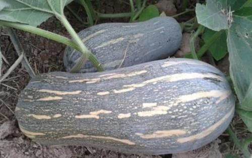 子宫|女孩来月经,谨记“3吃4不吃”,子宫干干净净,皮肤红润有光泽