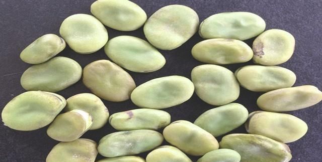 商品饵加上这些东西做鱼饵,钓鱼效果翻一番,拿走配方试试吧