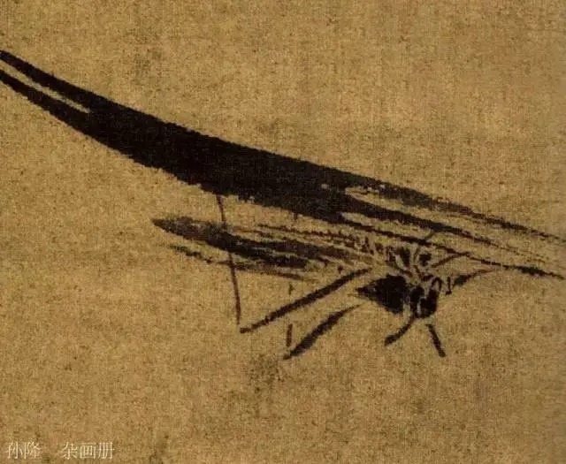 蝈蝈$国画技法图典——草虫篇:蝗虫 蚂蚱 蝈蝈 螽斯 螳螂 蟋蟀