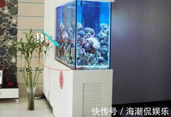 隔断|入户见客厅怎么办教你5种隔断设计,彰显层次感颜值倍增