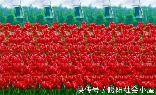 大脑|最准老年痴呆测试!你对自己大脑健康程度了解吗?测一下全明白了