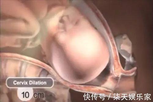 出生|胎儿出生前都在忙什么组图播放全过程,着急见爸妈的样子真可爱