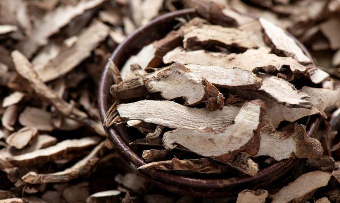 肉苁蓉|地黄饮子，阴阳双补，交通心肾，增强你的免疫力，不来了解下吗